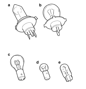 Types of bulbs